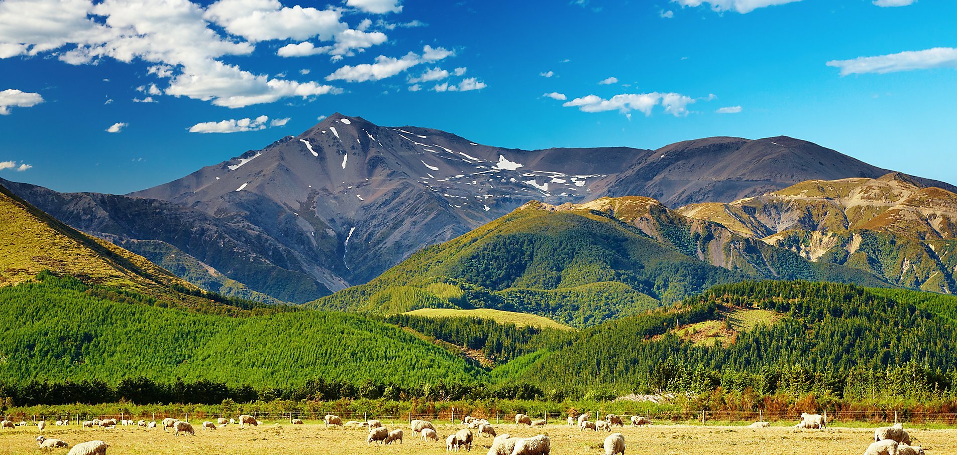 New Zealand