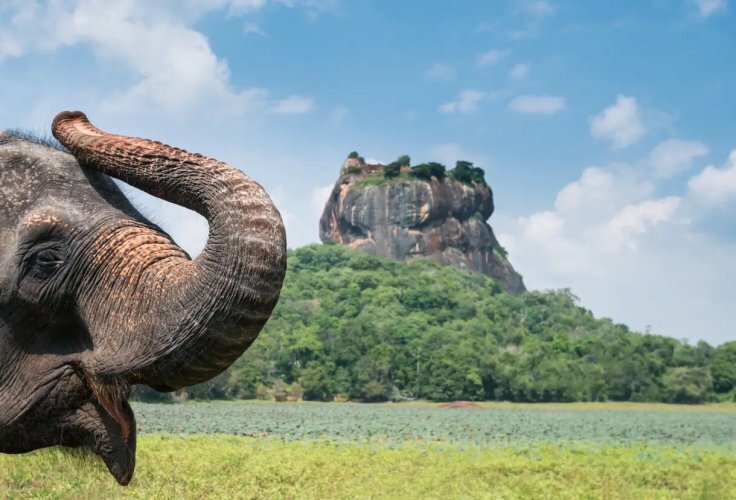 Sri Lanka Rundrejse og Maldiverne