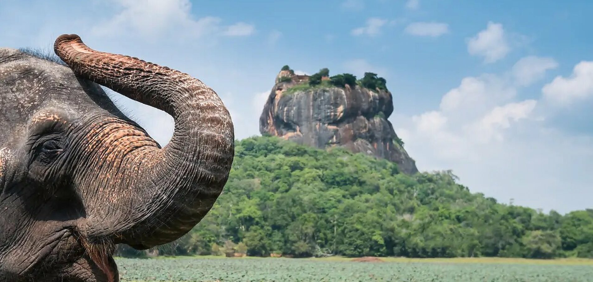 Sri Lanka Rundrejse og Maldiverne